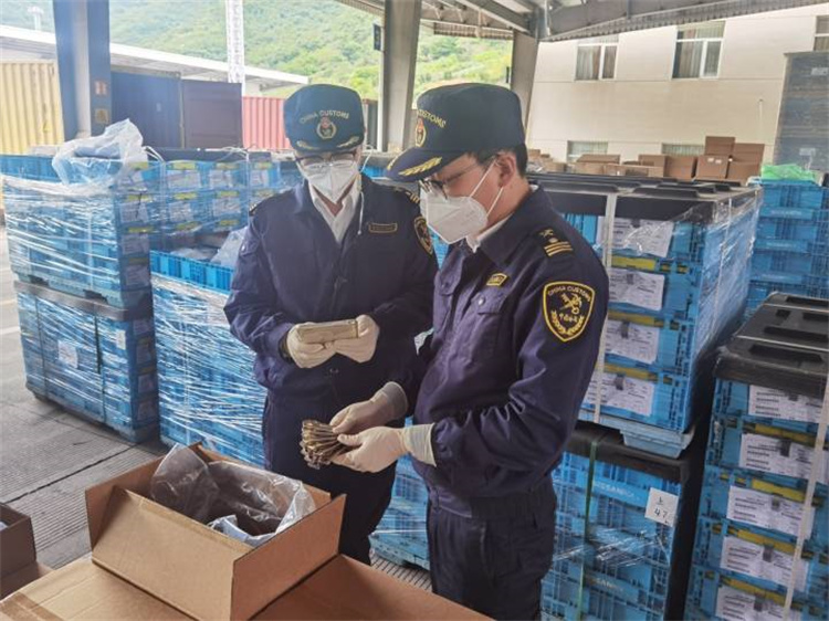 Promowanie handlu zagranicznego w celu zapewnienia stabilności i poprawy jakości Ningbo Customs wydało 20 „podstawowych” środków